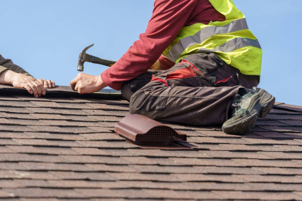Roof Gutter Cleaning in Shannon, MS