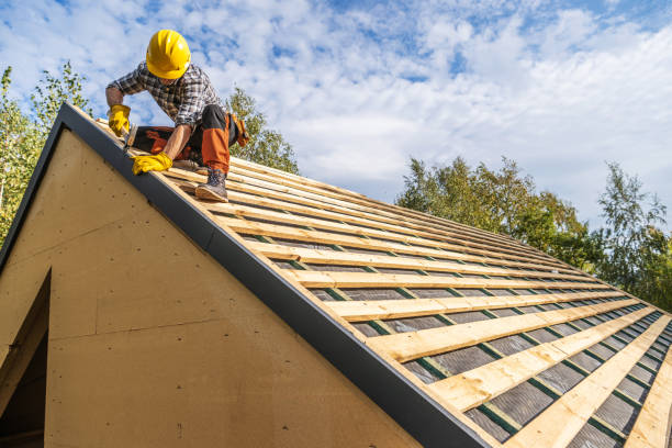 Best Storm Damage Roof Repair  in Shannon, MS