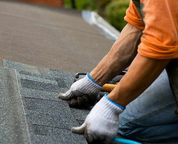 Best Gutter Installation and Roofing  in Shannon, MS